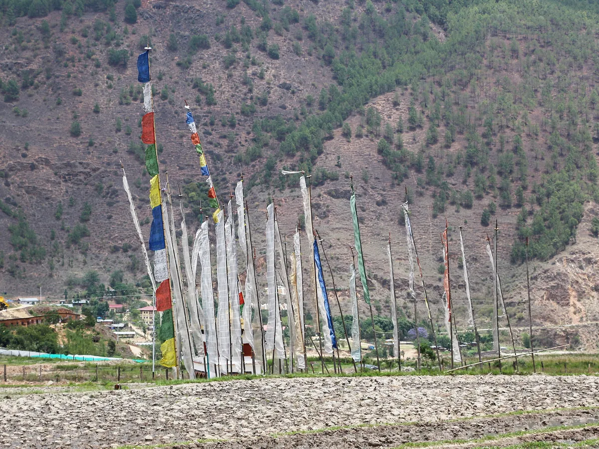 Prayer flags above the road at Sopsokha