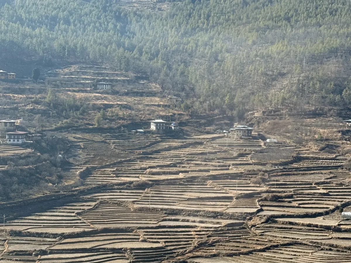 Terraced fields stepped down the valley side